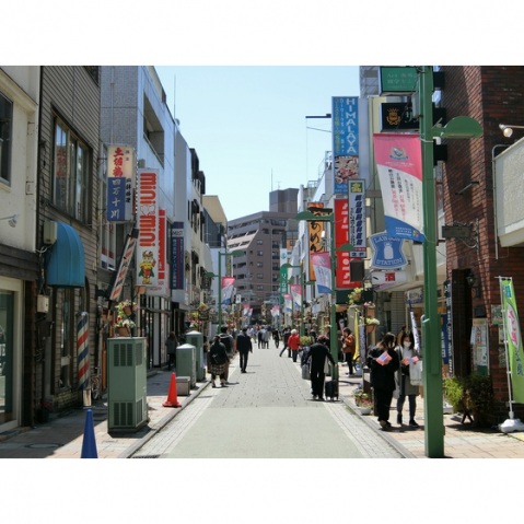 その他　綱島駅前商店街（その他）まで1m