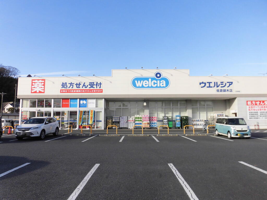 プリムローズの周辺写真
