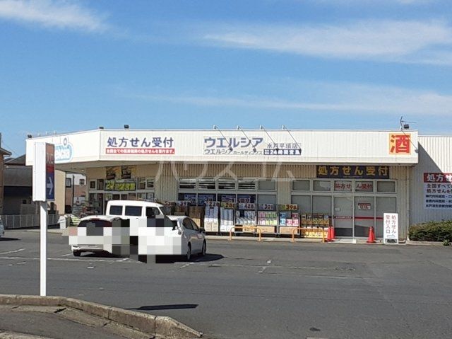 ドラックストア　ウエルシア水戸平須店（ドラッグストア）まで415m