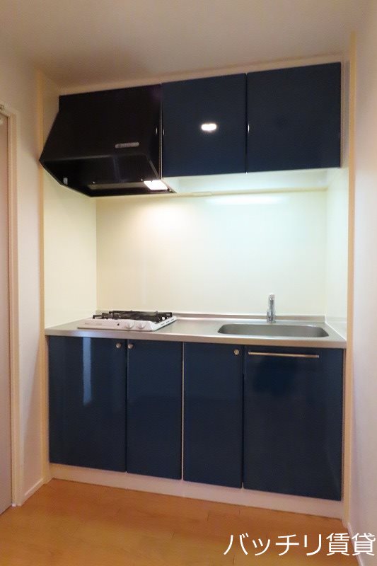 キッチン　画像は別号室タイプの為、現状を優先致します。