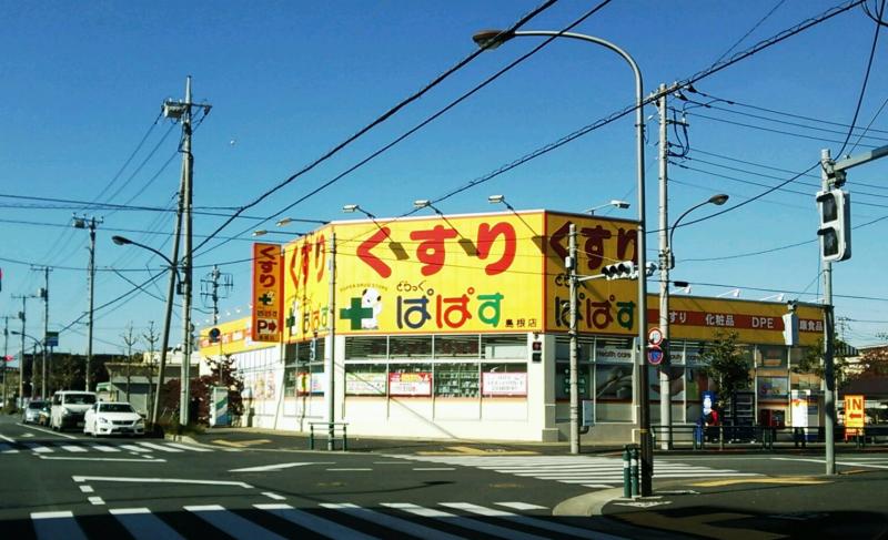 ドラックストア　どらっぐ ぱぱす 島根店（ドラッグストア）まで704m