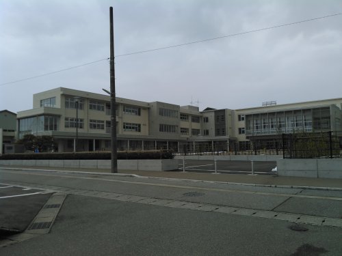 小学校　藤ノ木小学校（小学校）まで517m