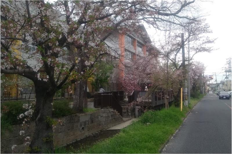 高校・高専　大阪府立 山本高等学校（高校・高専）まで463m