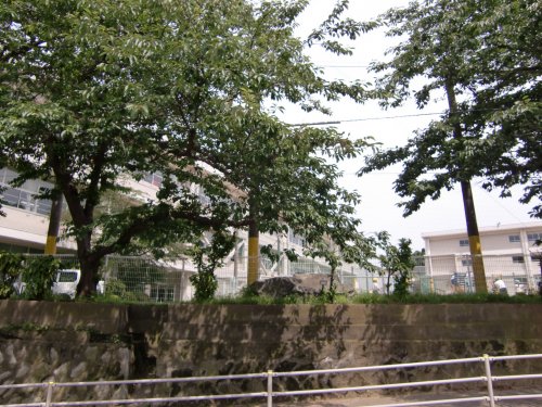 小学校　横須賀市立山崎小学校（小学校）まで653m