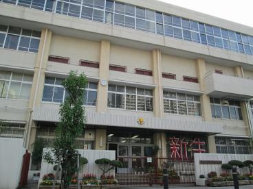 中学校　神戸市立駒ケ林中学校（中学校）まで581m