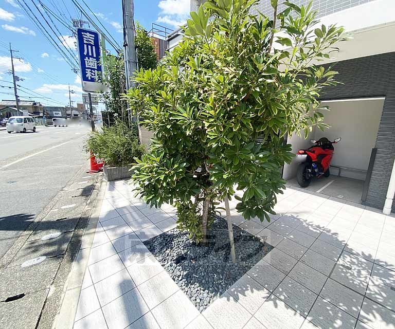 庭