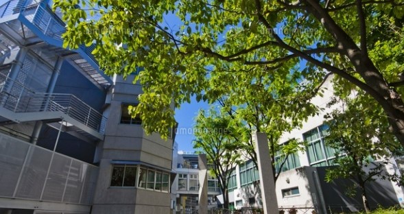 中学校　新宿区立落合中学校（中学校）まで612m
