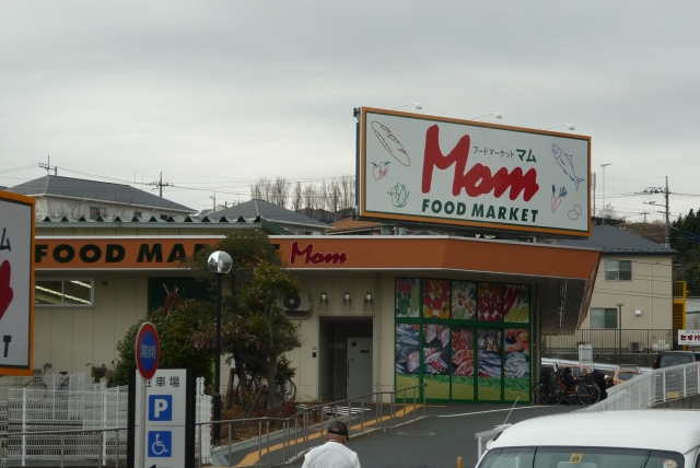 リリックコートYOKOHAMA Iの周辺写真