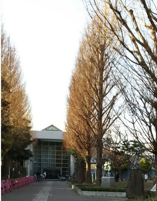 【ロフト瀬田の図書館】