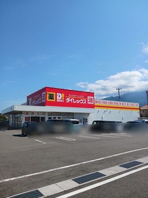 その他　ダイレックス土橋店（その他）まで1500m