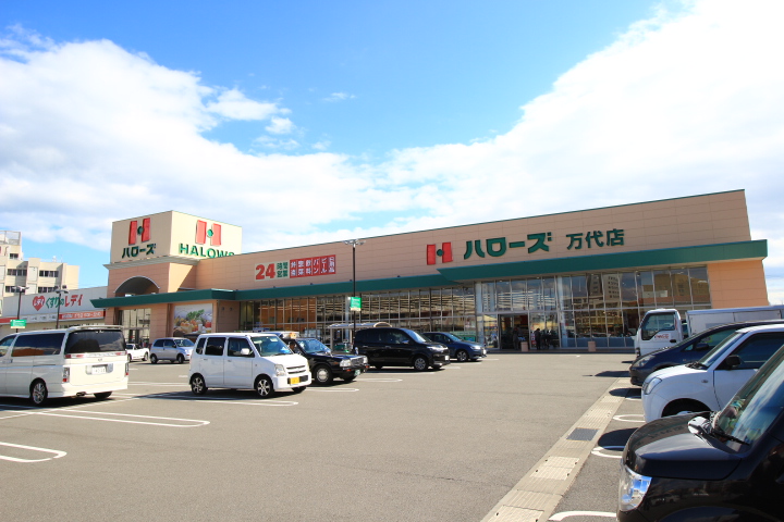スーパー　ハローズ万代店（スーパー）まで595m