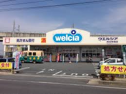 ドラックストア　ウエルシア熊谷赤城店（ドラッグストア）まで598m