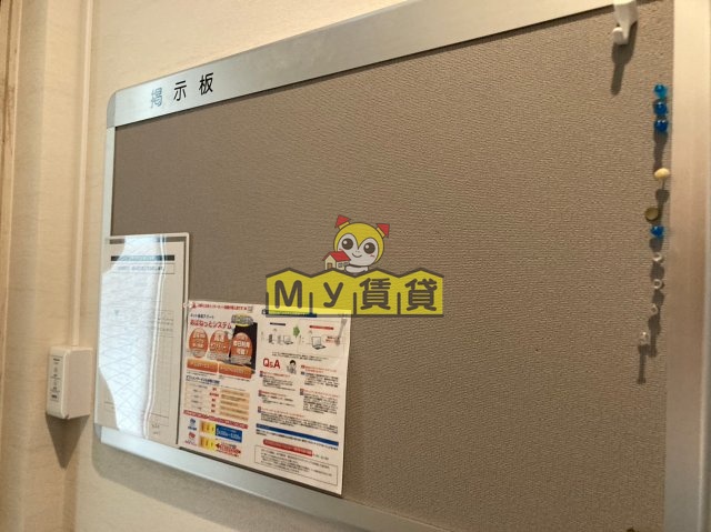 その他　アコモ元中村