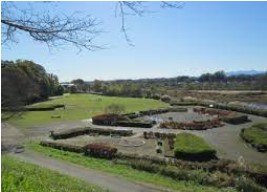 公園　福生かに坂公園（公園）まで546m