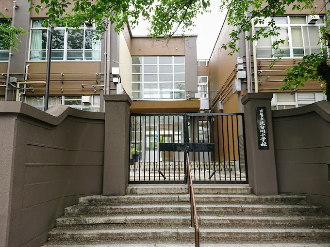 小学校　北白川小学校（小学校）まで444m