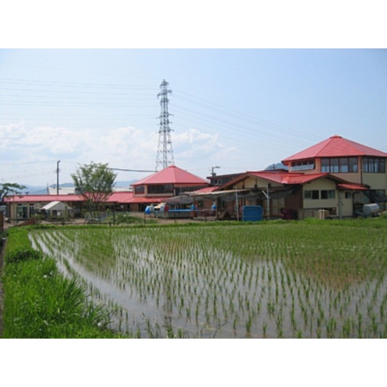 幼稚園・保育園　あゆみ保育園（幼稚園・保育園）まで926m