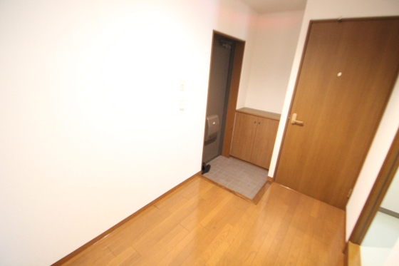 玄関　※別号室の写真になります。