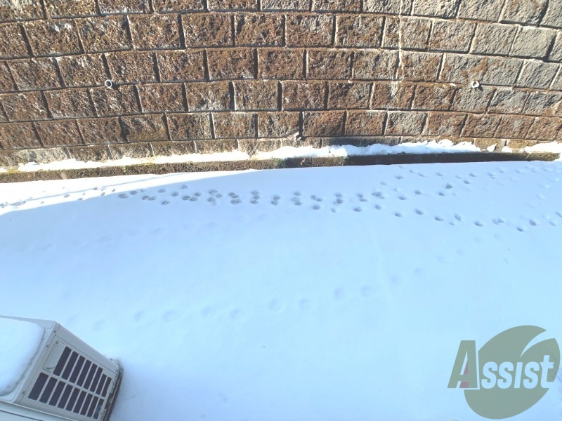 バルコニー　窓を開けたらこのような感じになっております。