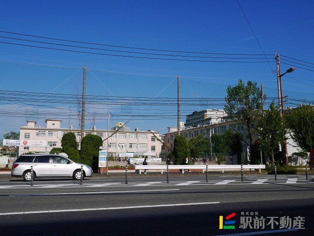 小学校　千早小学校（小学校）まで300m