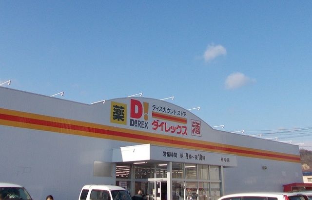 その他　ダイレックス府中店（その他）まで800m