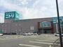 その他　ニトリ 神戸御影店（その他）まで60m