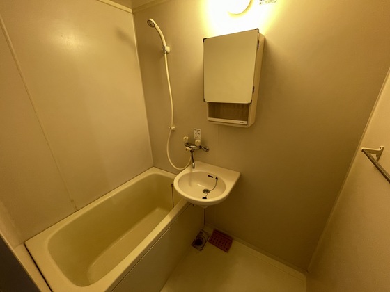 バス・シャワールーム　※別部屋の写真です