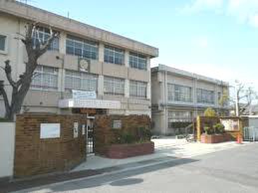 小学校　城内小学校（小学校）まで240m