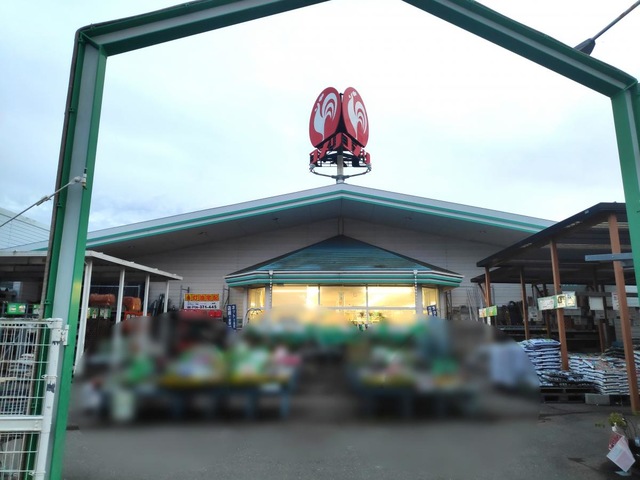 ホームセンター　コメリハード＆グリーン河南店（ホームセンター）まで590m