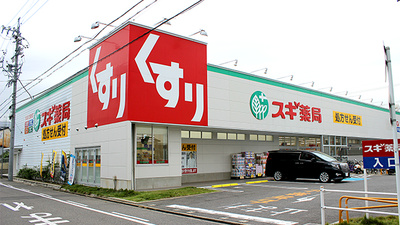 ドラックストア　スギ薬局 北内店（ドラッグストア）まで768m