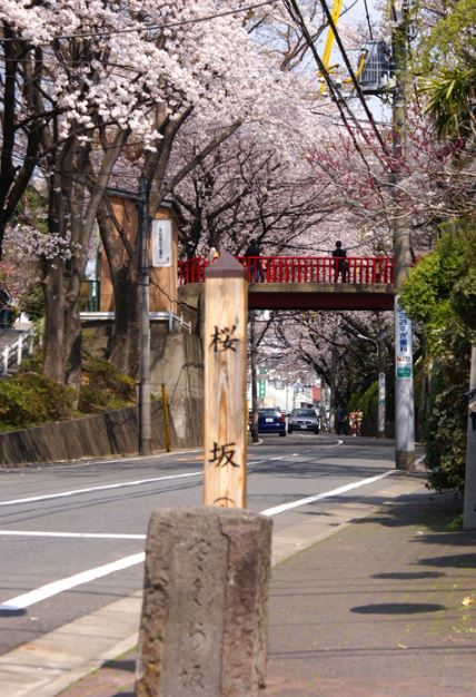 その他　さくら坂（その他）まで314m