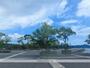 公園　鳴門ウチノ海総合公園（公園）まで807m