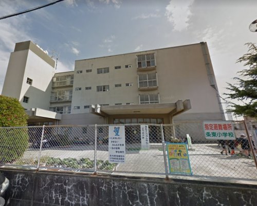 小学校　泉大津市立条東小学校（小学校）まで223m