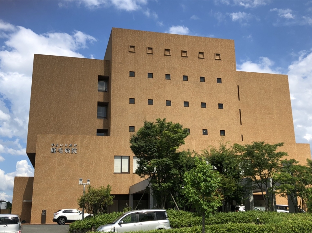 病院　やよいがおか鹿毛病院（病院）まで371m