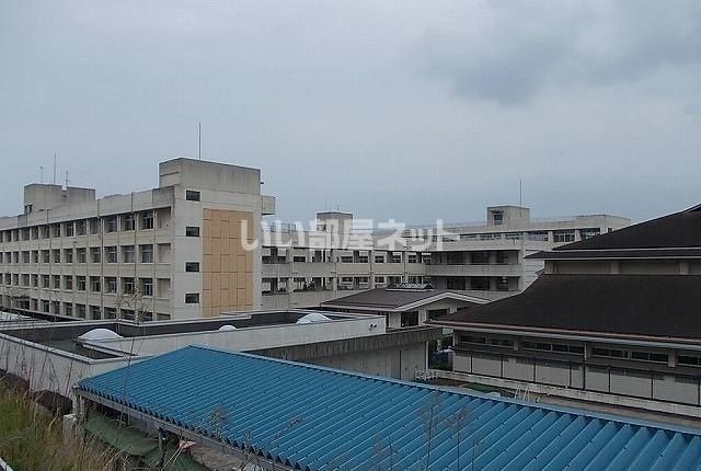 小学校　今治市立桜井小学校（小学校）まで601m