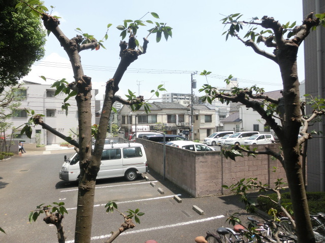 眺望　緑との共存を楽しむ。