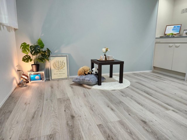 居室・リビング　ステージング後の広さ十分の6.7帖の居室