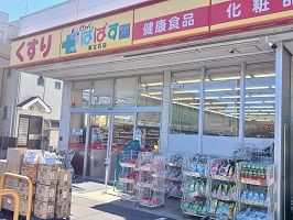 ドラックストア　ぱぱす（ドラッグストア）まで800m