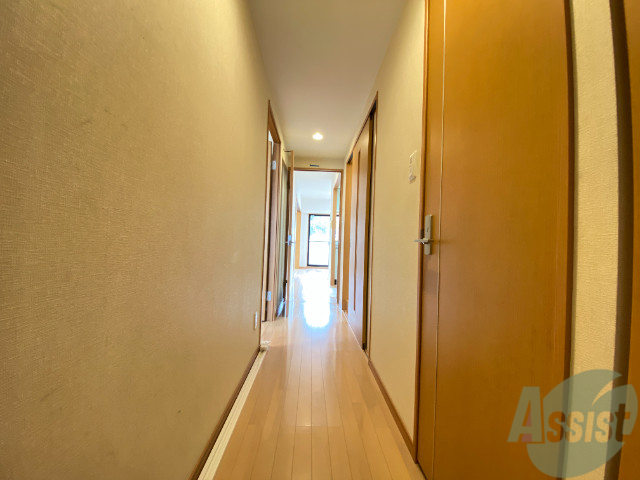 玄関　玄関から見たお部屋全体を撮ってみました。広いですね。