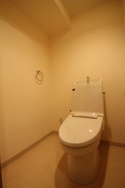 トイレ　同物件別号室のものです。