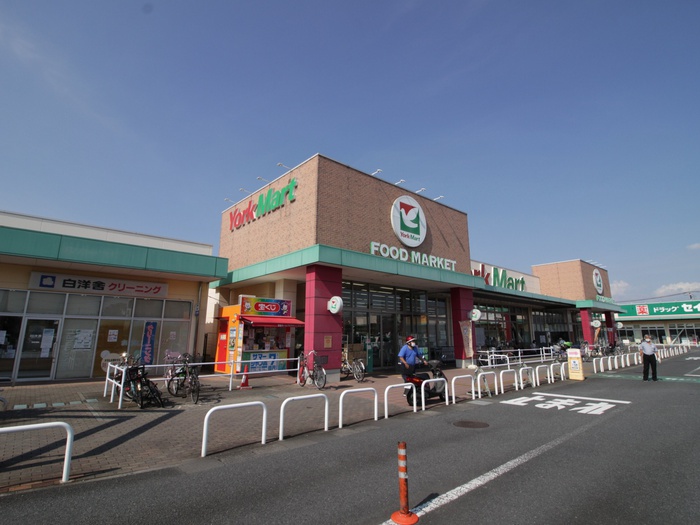 ショッピングセンター　モールプラザ（ショッピングセンター）まで1000m