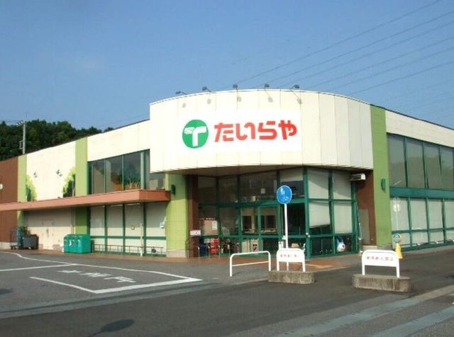 スーパー　たいらや自治医大店（スーパー）まで788m