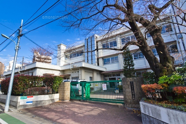 小学校　板橋区立上板橋小学校（小学校）まで389m