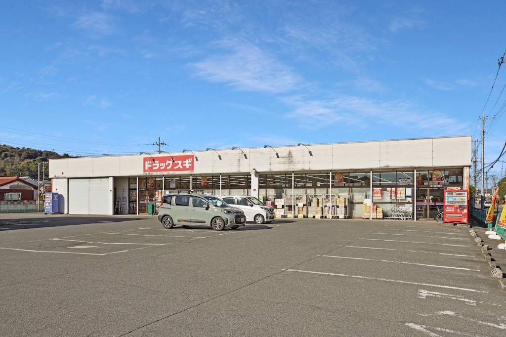 ドラックストア　ドラッグスギ 片岡店（ドラッグストア）まで738m