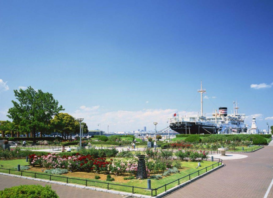 公園　山下公園（公園）まで800m