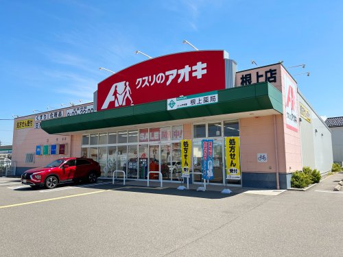 ドラックストア　クスリのアオキ 根上店（ドラッグストア）まで1105m