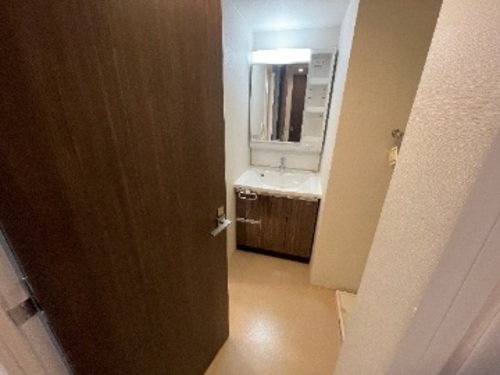 洗面設備　洗面台　※同タイプの部屋のお写真です