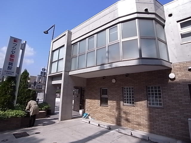 その他　フジタ動物病院（その他）まで270m