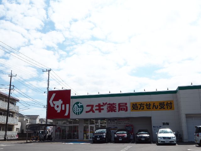 ドラックストア　スギ薬局新橋町店（ドラッグストア）まで1068m