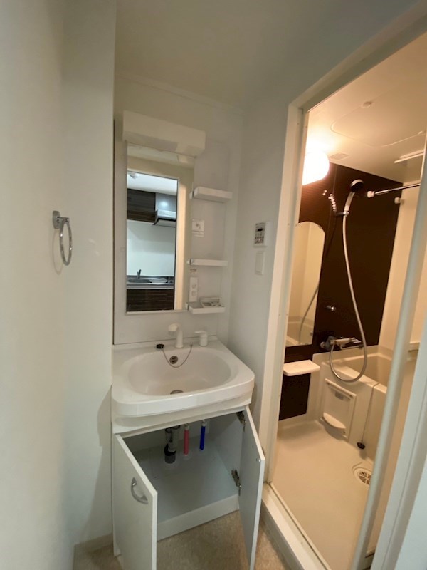 洗面設備　※参考写真