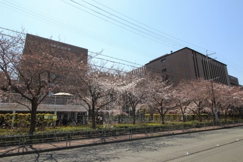 大学・短大　私立大阪経済大学（大学・短大）まで1124m